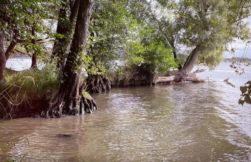 3 Bedroom Gorgeous Home In Morzyczyn - Foto 19