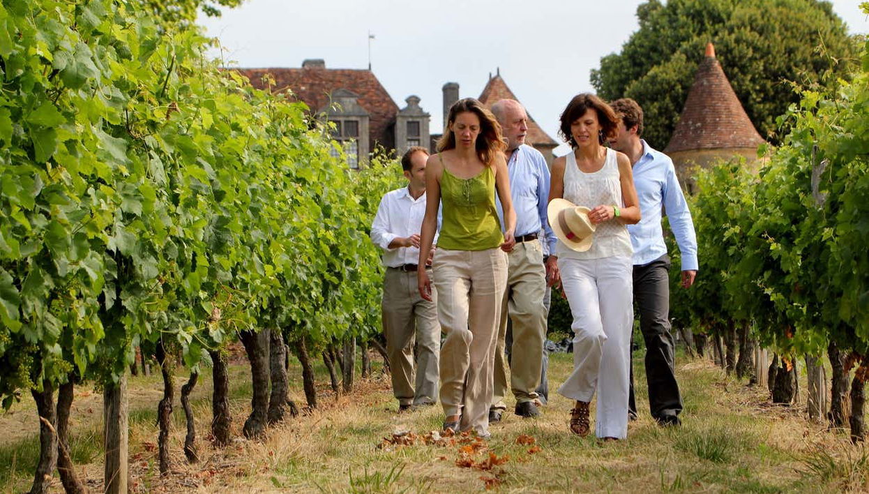Balade dans un vignoble du Médoc