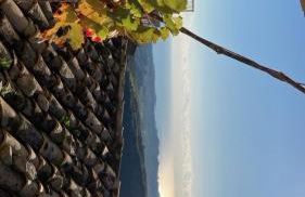 Nina's House , nonna Lucia - Photo 21