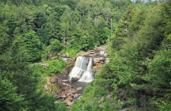 The Davis Ridge - Photo 39