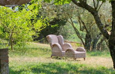 Podere le Muricce - Foto 20