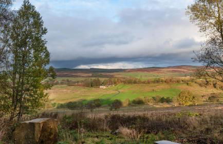 Risingham House - Foto 27