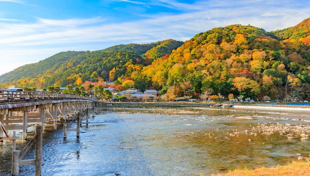 Guided Tour of Arashiyama & Bamboo Forest - Foto 5