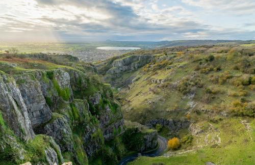 Dragonfly Two - Photo 11