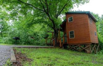 Fantastic Treehouse with Fire Pit and Hot-tub in Herod, Illinois - Foto 30
