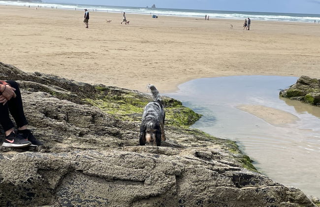 Captivating 5-bed House in Porthleven - Foto 34