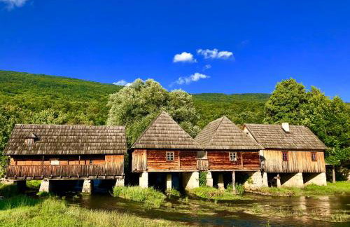 Holiday house "Mimoza" 2 massage pools - Foto 75