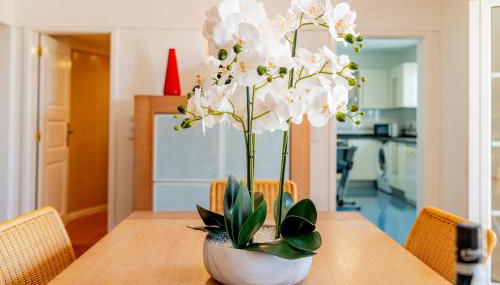 Ana's Place - Foto 5