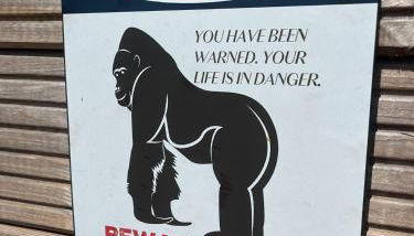 Ferienwohnung 12 Monkeys - Foto 3