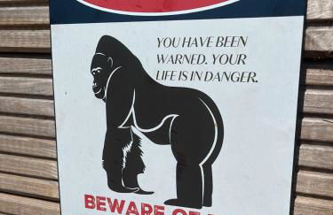 Ferienwohnung 12 Monkeys - Foto 3