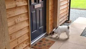 Delightful Country Cottage in a lovely rural area - Foto 5