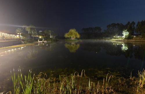 Herdade do Sardanito da Frente - Foto 24