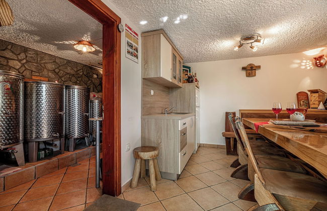 Vineyard Cottage Hocevar With Sauna - Photo 15