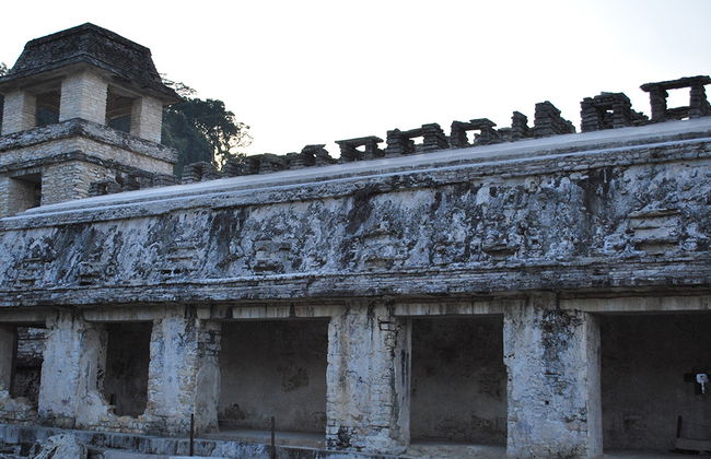 Palenque Zone and Waterfalls from Tuxtla Gutierrez - Foto 3