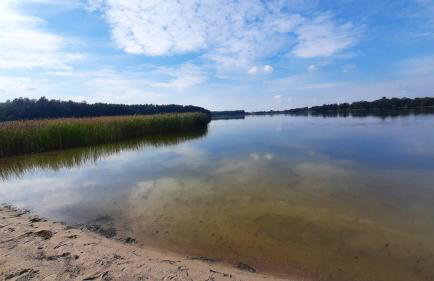 Domki Dobrogoszcz - Foto 32