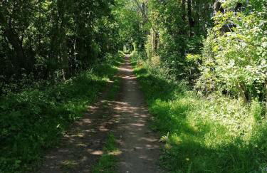 NEU! Ferienwohnung Sylt - Foto 17