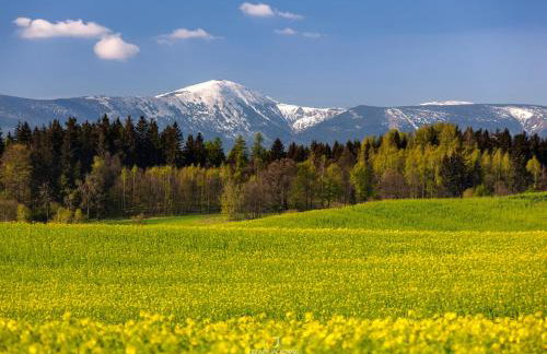 Drewniane domki z prywatnym jacuzzi i widokiem na Góry - Klimatyczny Kompleks w Górach Izerskich #Widogruszka - Photo 12