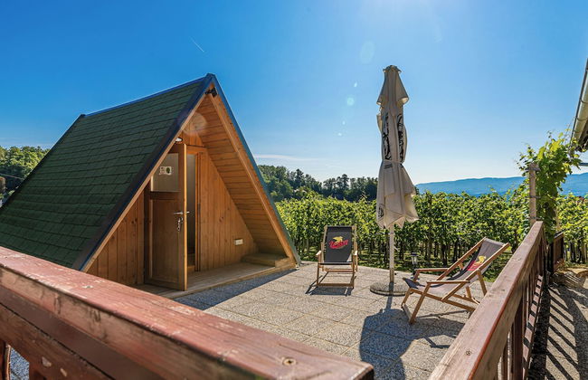 Vineyard Cottage Hocevar With Sauna - Photo 21
