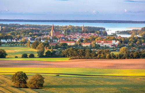 Kranichrast am Roebeler Stadthafen - Foto 17