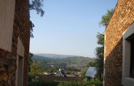 Bosque da Harmonia - Foto 76