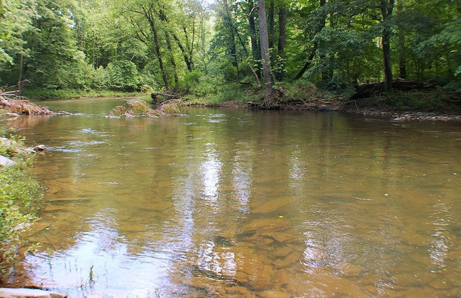 Creekview Cabin - A Perfect Escape - Foto 48