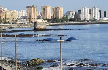 Salema casa de playa en San Cristobal - Foto 41