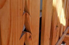 Gîte du Mont d'Air 4 étoiles, au cœur du massif vosgien, bain nordique - Foto 29