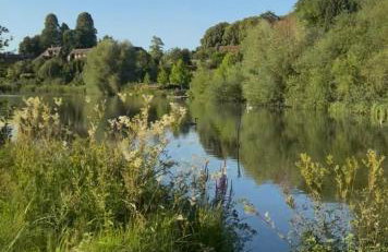 Little Vine Cottage in the grounds of Leeds Castle - Foto 27