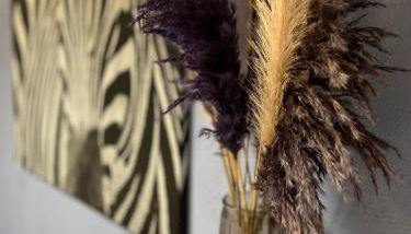 Pension EdHeLo - Foto 4