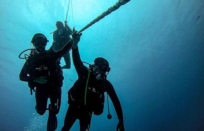 Plongée avec les requins-bouledogues à Playa del Carmen - Photo 5
