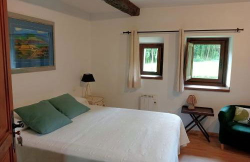 Las Gallinas de María - Foto 20