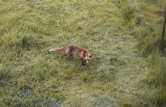 4 Bedrooms Homely House - Sleeps 6 Comfortably with 6 Double Beds,Glasgow, Free Street Parking, Business Travellers, Contractors, & Holiday-Goers, Near All Major Transport Links in Glasgow & City Centre, Perfect for Common Wealth Games 2026 - Foto 20