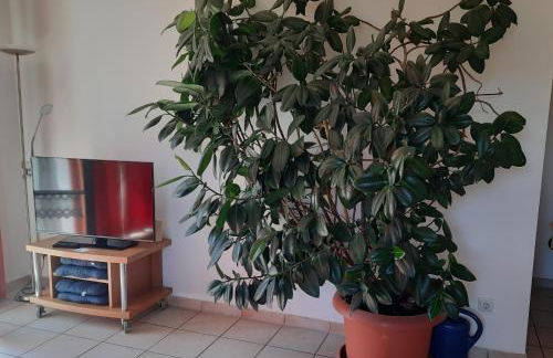 Ferienwohnung Ferstl - Foto 9