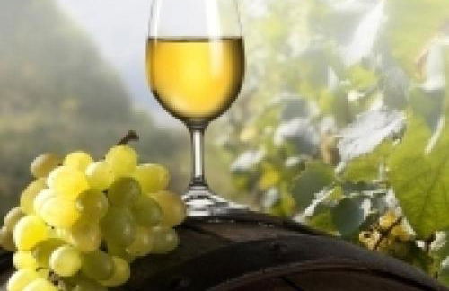 Umbria Valnerina in Noble Residence near Spoleto Apartment x 4-6 persons - Foto 38