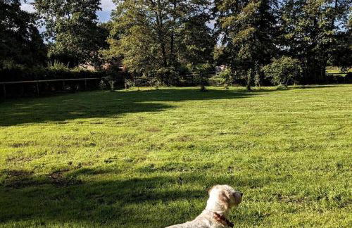 Cosy Owl - Shepherds Hut - Foto 7