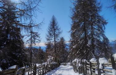 Casa vacanze Da Bianca - Photo 17