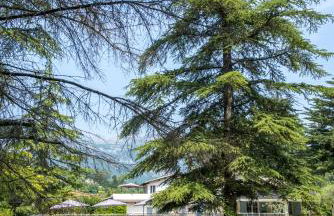 Spacious villa in Tourrettes-sur-Loup with Private Lake access Sleep 16 - Foto 7