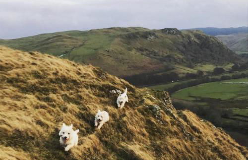 Balbeg Cottage - Photo 46