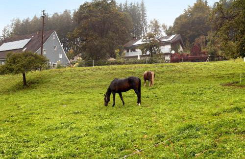 Gästehaus Kornspeicher Untere Mühle - Foto 25