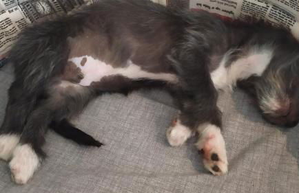 Toscana da Sogno a Villa Allegria - Foto 48