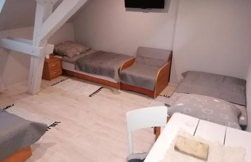 Agroturystyka Siedlisko pod dębami - Foto 15