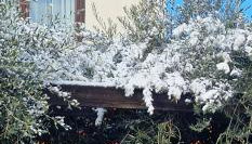 Apartments Barac - Foto 3