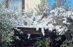 Apartments Barac - Foto 3