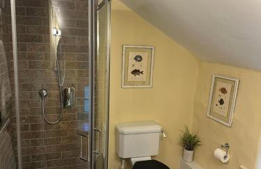 Maengwynedd, Llanrhaeadr Ym Mochnant - Foto 19