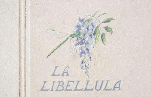 La Libellula- casale panoramico con piscina in Versilia - Photo 20