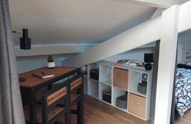 Loft Cosy NICE centre ville - Photo 23