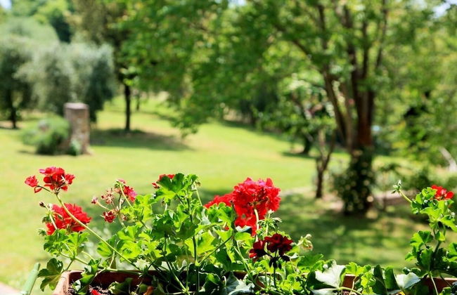 Podere Agrituristico Luchiano - Foto 53