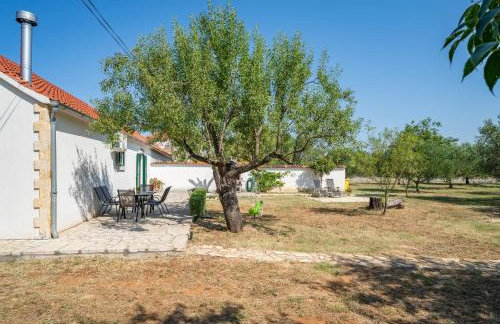 Haus Zdravko in Prkos - Haus für 4 Personen - Foto 14