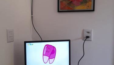 Abelha & Peixe Boi - Foto 5