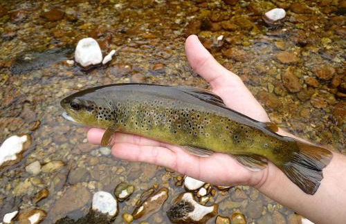 La Villa De Hauteville - Foto 26